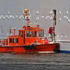 Traumjob auf dem Traumschiff ?