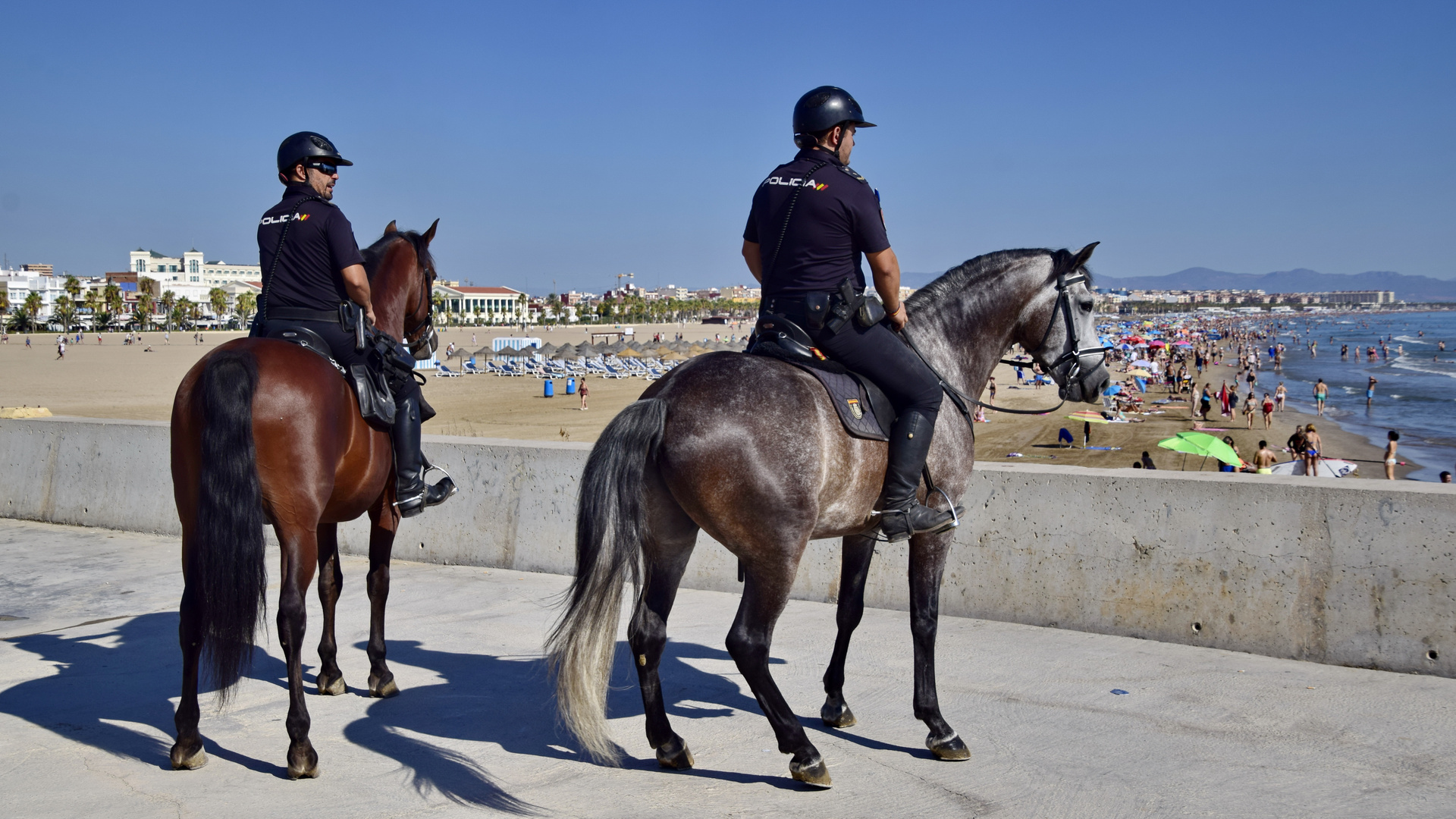 Traumjob Sheriff: Baywatch