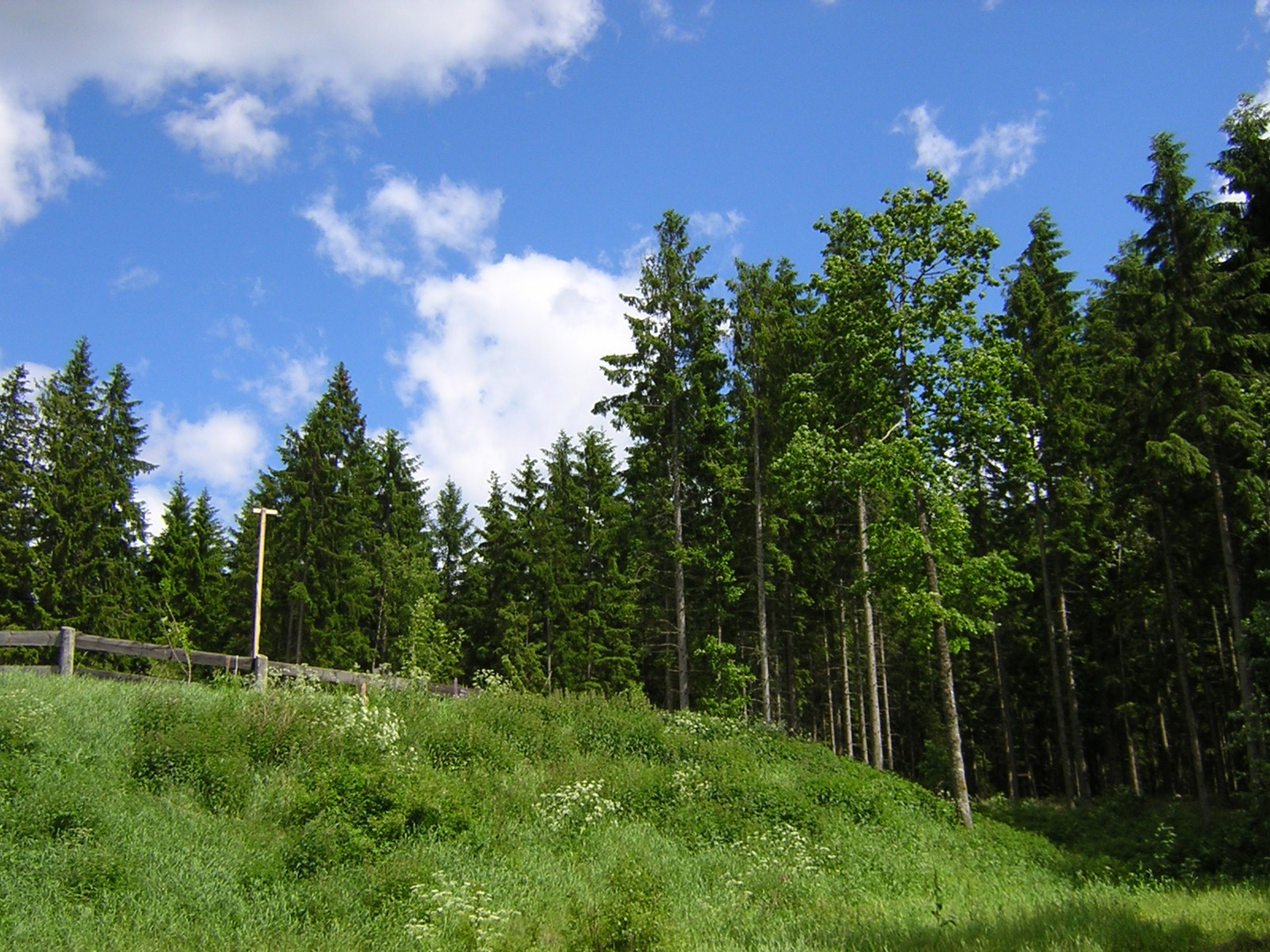 Traumland Schweden