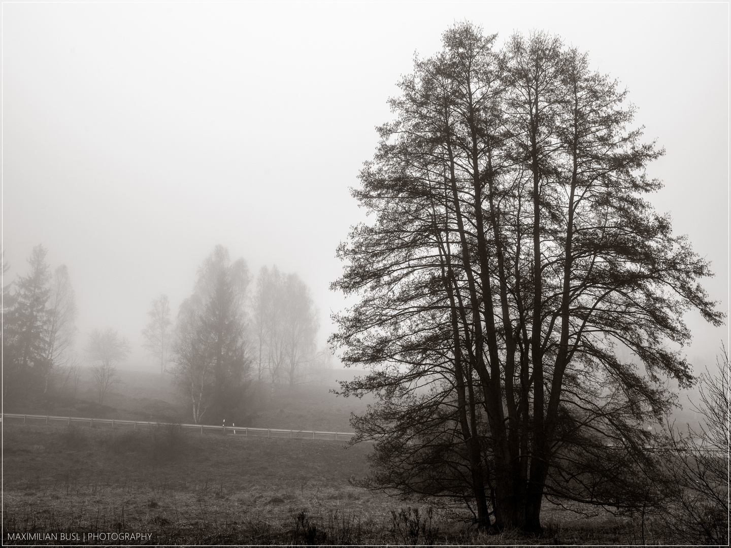 Traumlandschaft