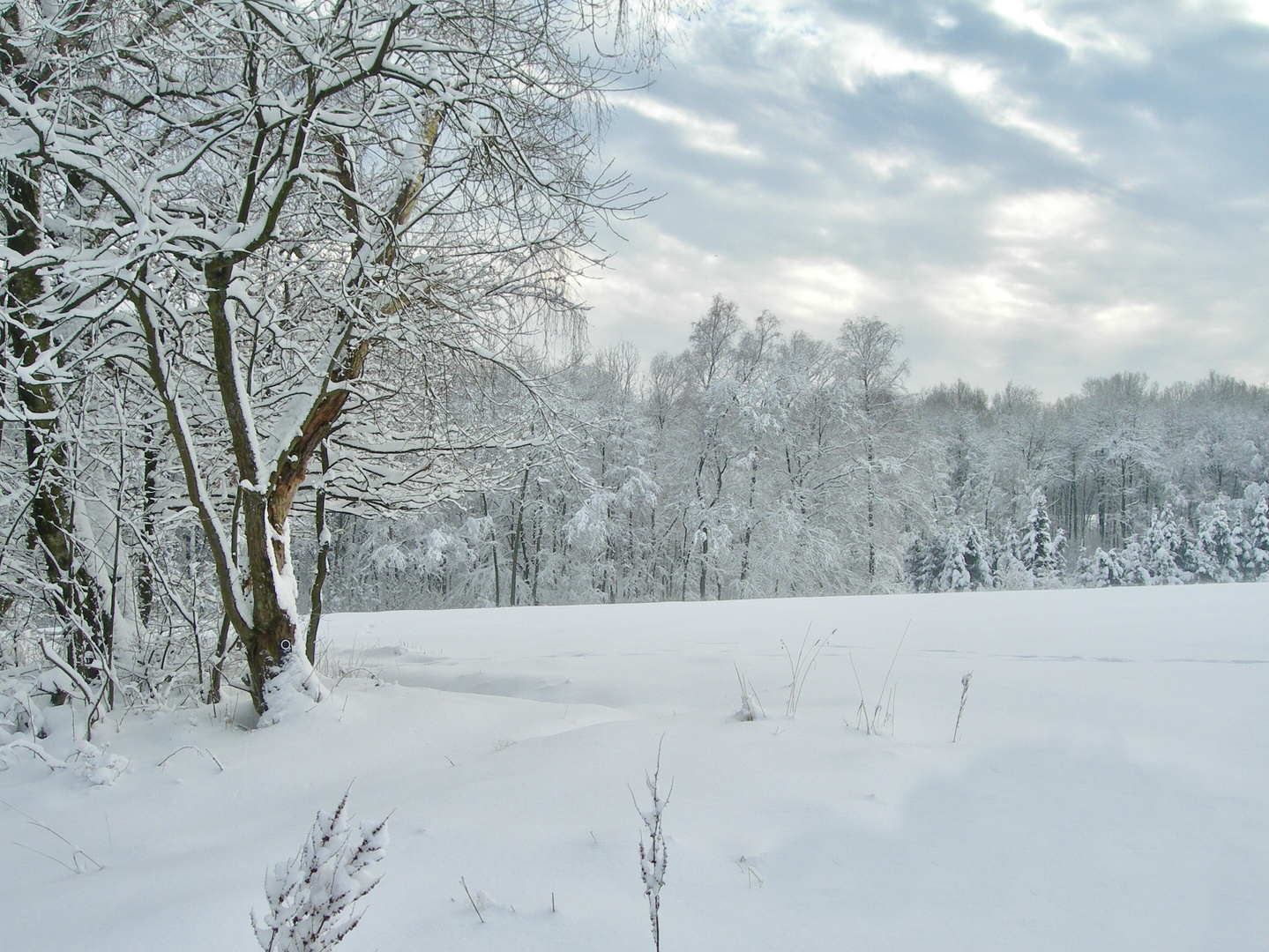 Traumlandschaft