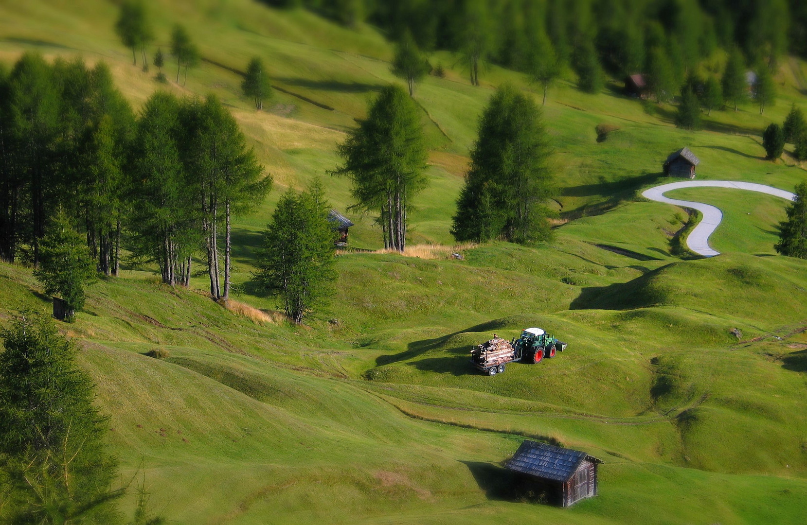 Traumlandschaft