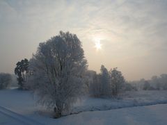 Traumlandschaft an der B16