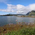 Traumlandschaft an der ostküste von Vestvagoy / Lofoten