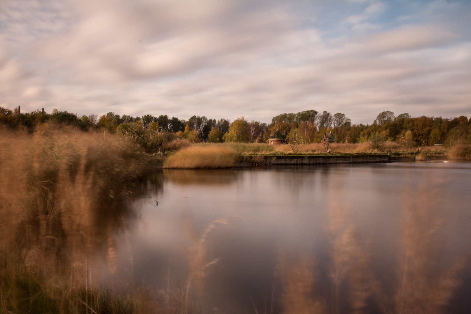 Traumlandschaft auf Kaltehofe