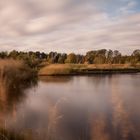 Traumlandschaft auf Kaltehofe