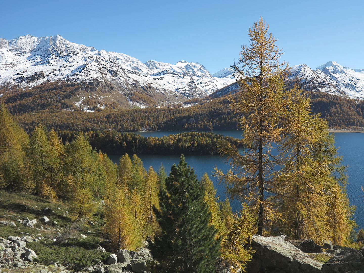 Traumlandschaft Engadin (1)