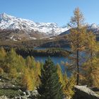 Traumlandschaft Engadin (1)