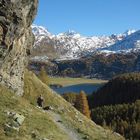 Traumlandschaft Engadin (4)