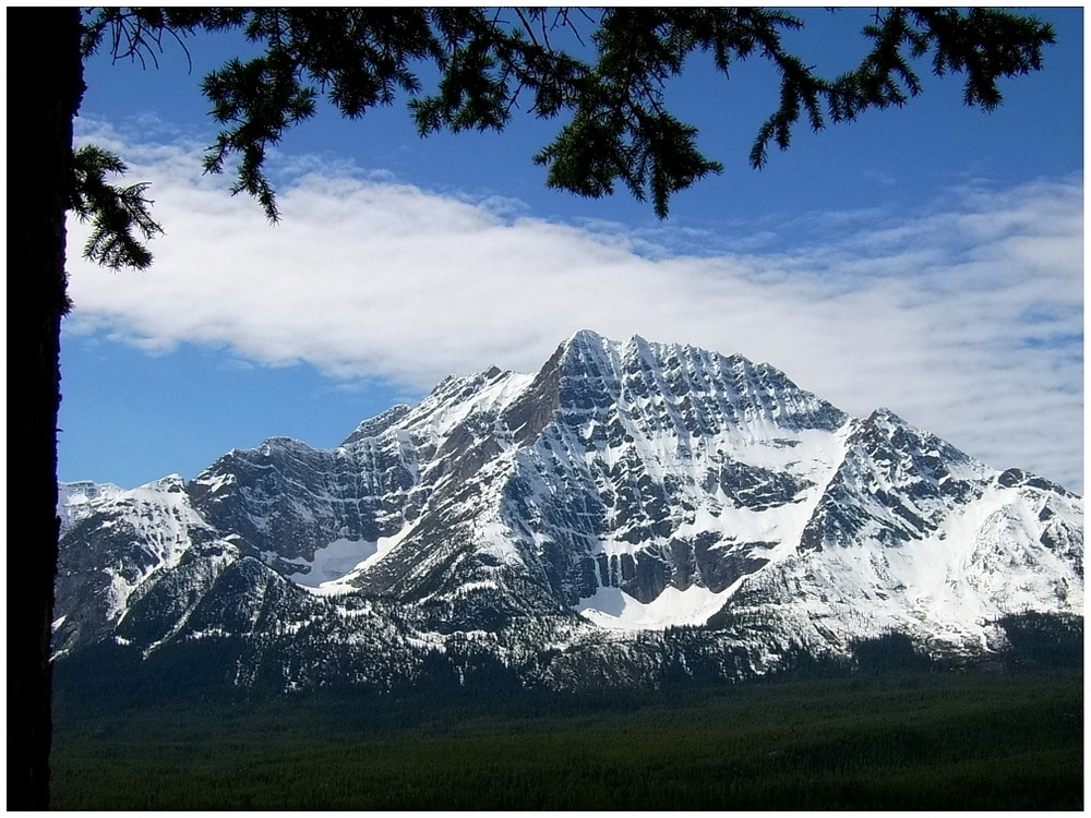 Traumlandschaft Icefield Parkway