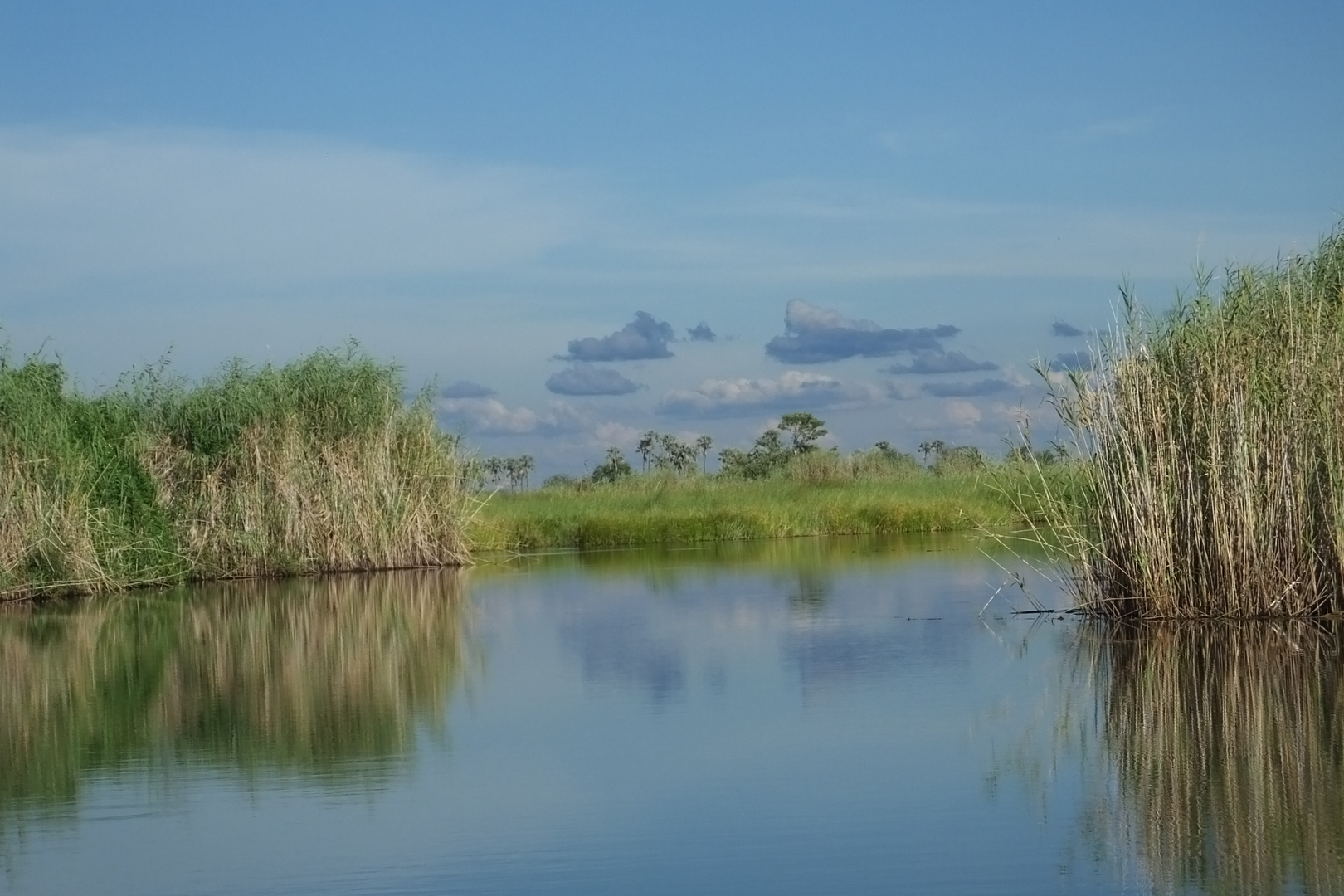 Traumlandschaft im Okavango Delta