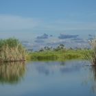 Traumlandschaft im Okavango Delta