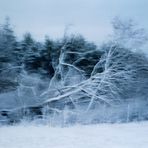 Traumlandschaft im Schnee