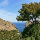 Traumlandschaft Mallorca*