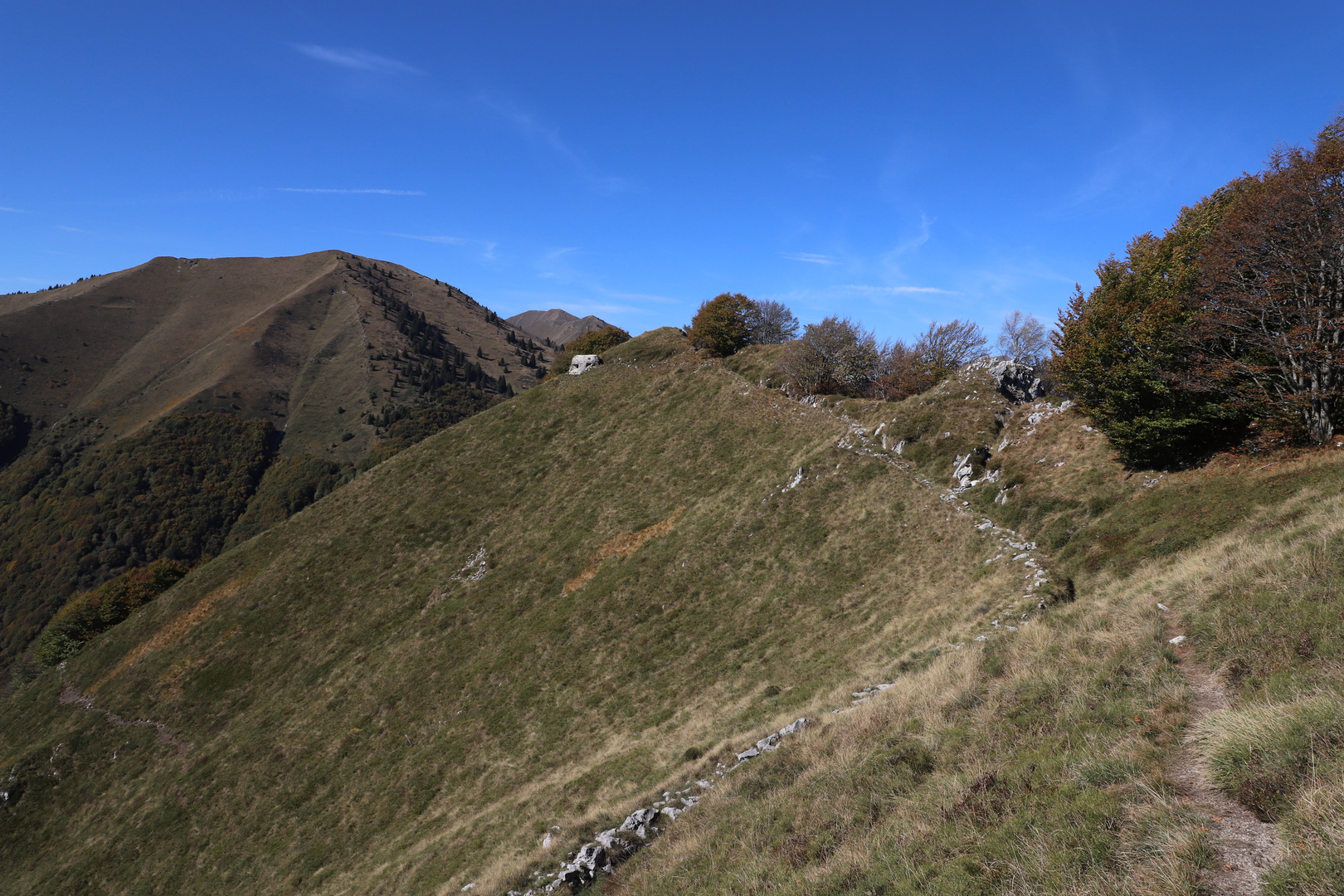 Traumlandschaft mit finsteren Zeitzeugen