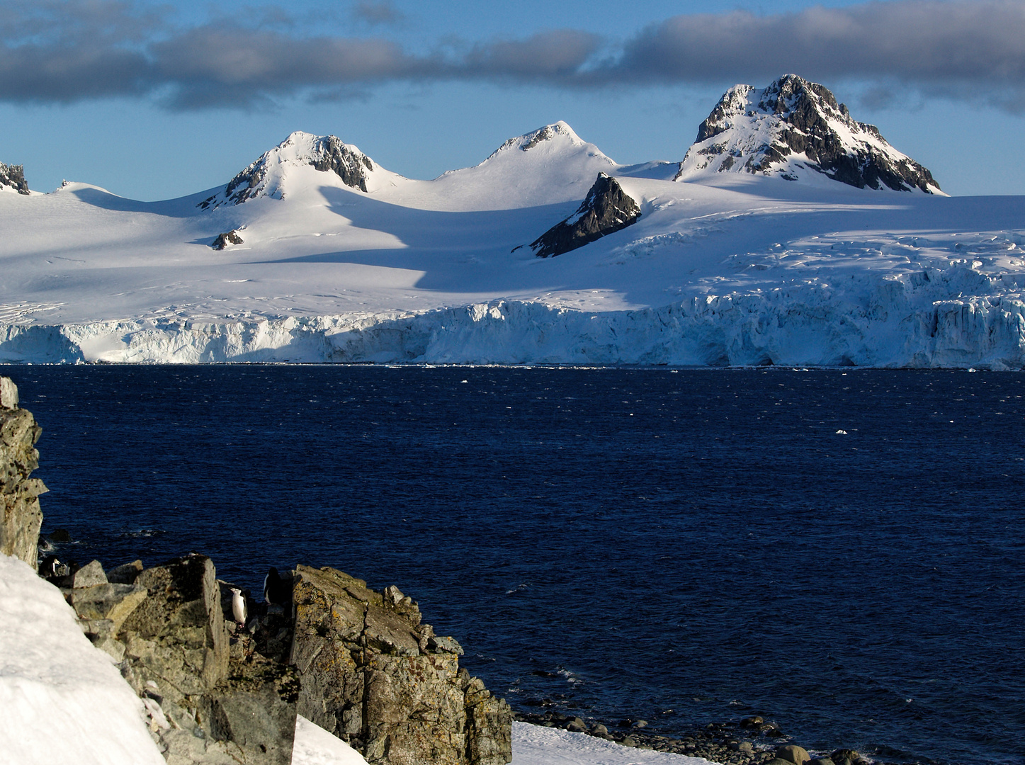 Traumlandschaft mit Pinguin