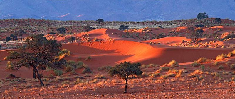 Traumlandschaft Namibrandgebiet