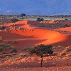 Traumlandschaft Namibrandgebiet