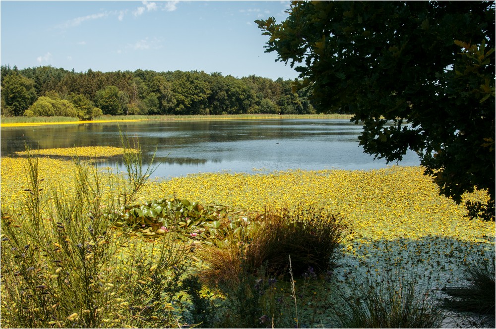 Traumlandschaft Osteifel