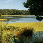 Traumlandschaft Osteifel