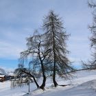 Traumlandschaft Seiser Alm