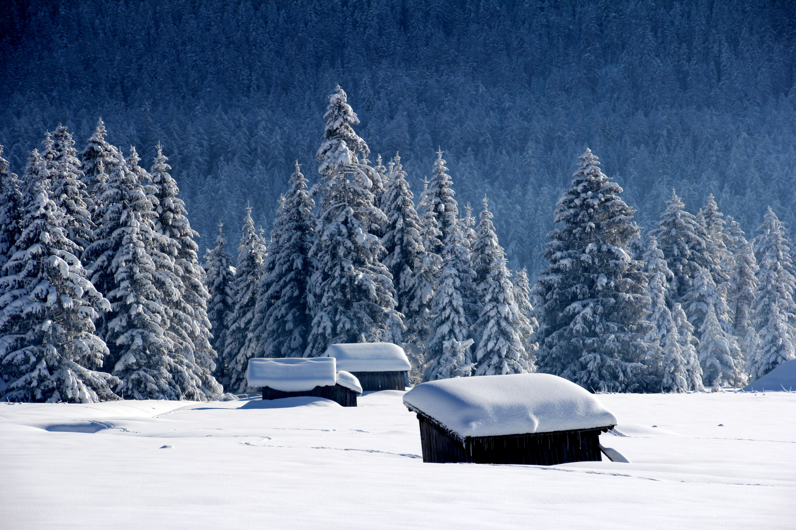 Traumlandschaft Winter