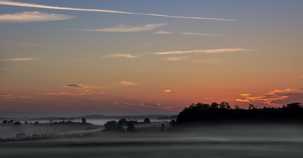 Traumnebel