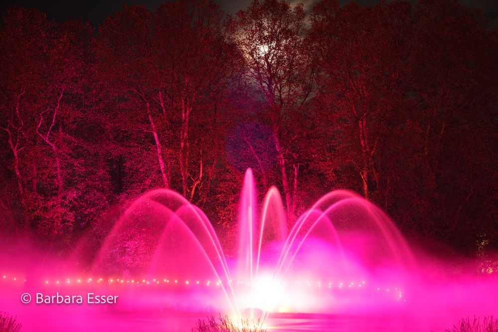 Traumpfade im Blühenden Barockgarten