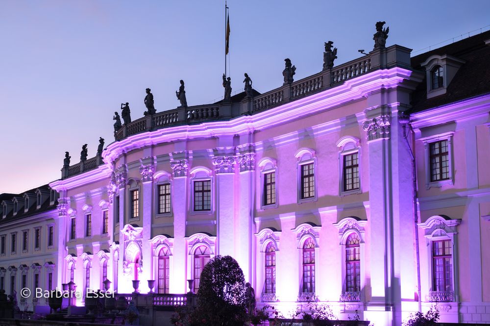 Traumpfade im Blühenden Barockgarten