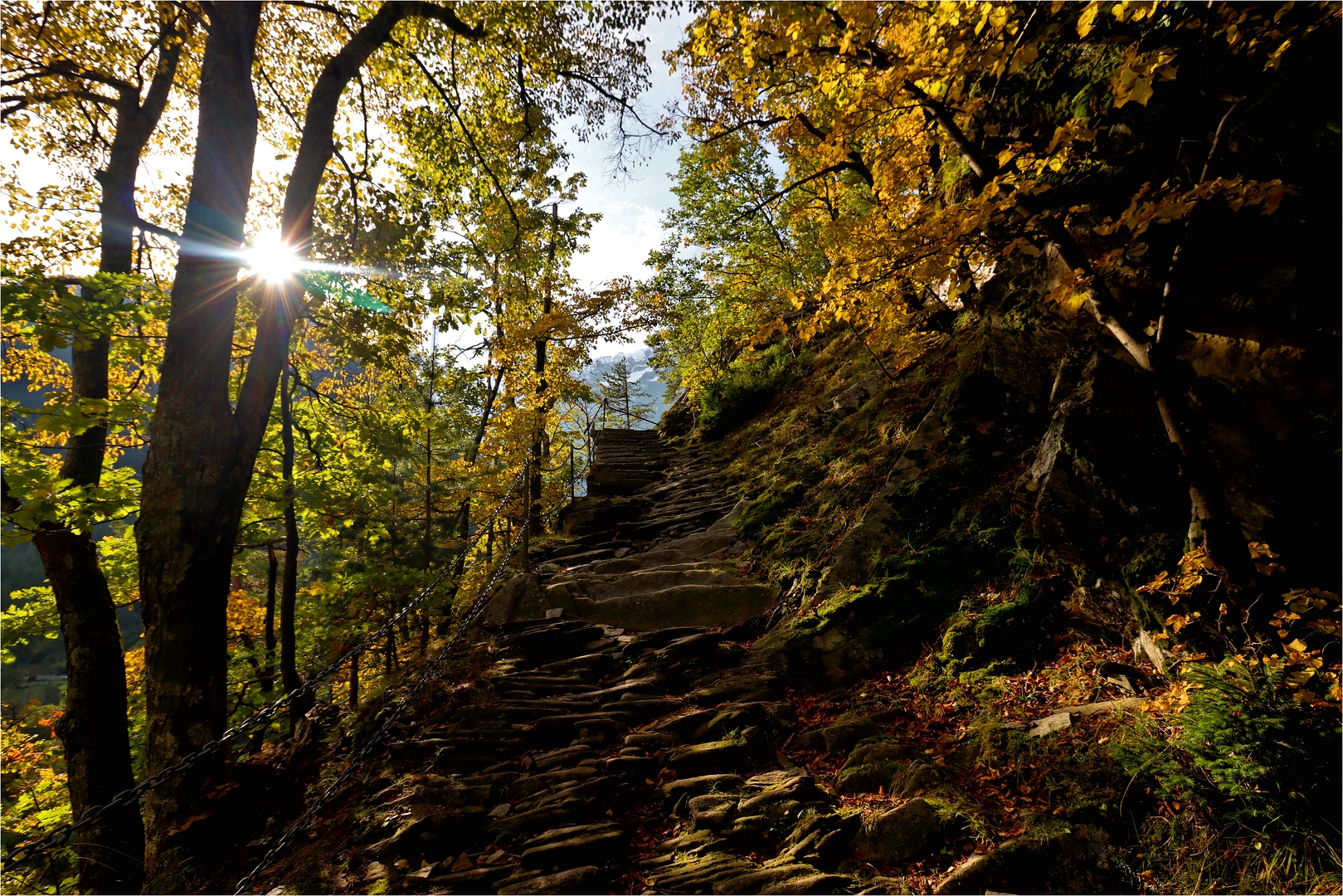 TRAUMPFADE IN DEN HERBST