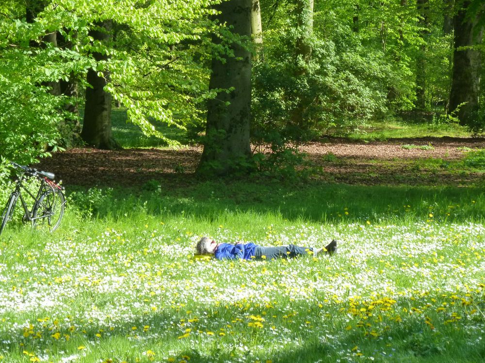 Traumplatz für Mütter