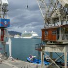 Traumschiffe im Hafen von Santa Cruz de Tenerife