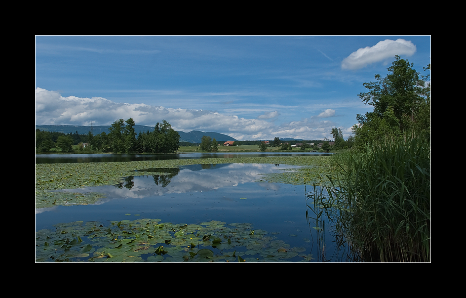 Traumsee