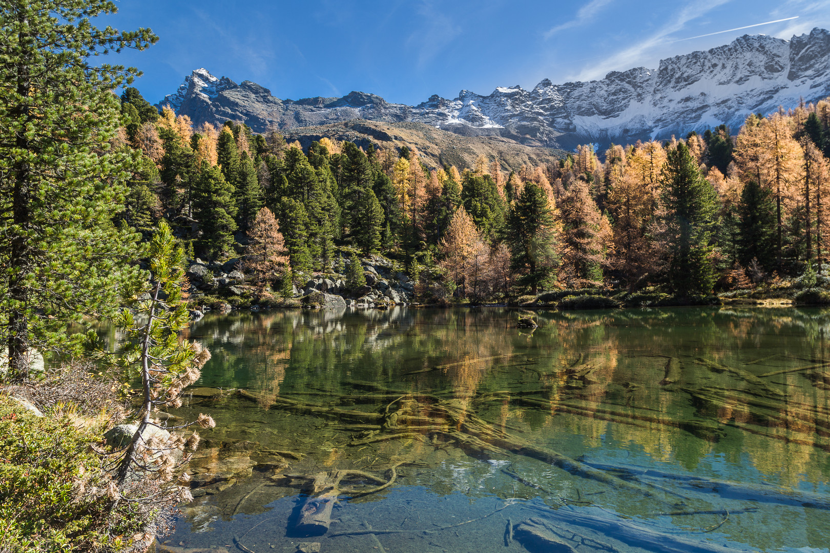 Traumsee