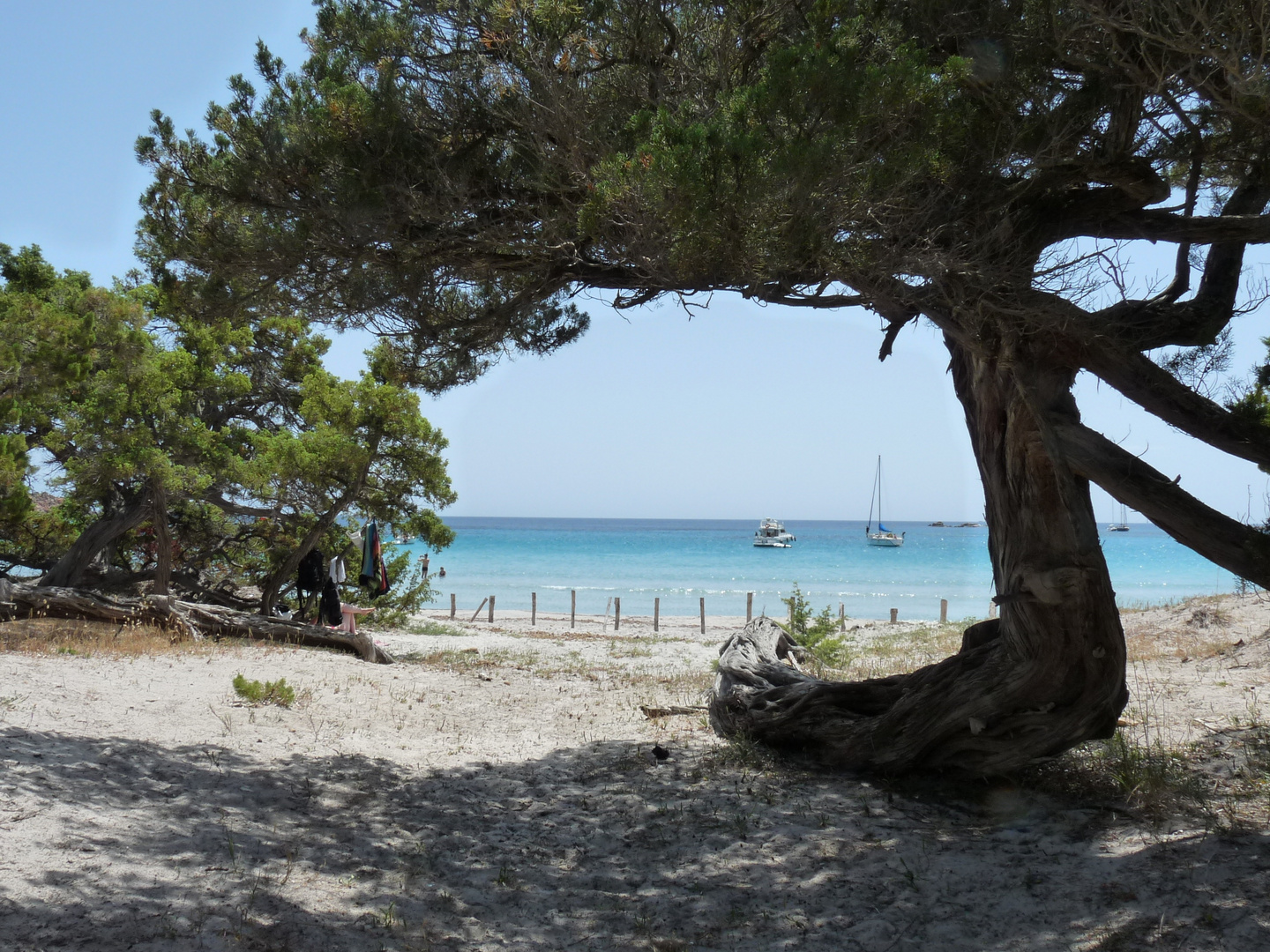 Traumstand auf Korsika (Playa de Roccapina)