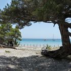 Traumstand auf Korsika (Playa de Roccapina)