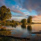 Traumstimmung am Rohrspitz - Bodensee