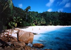 Traumstrände 2 (Seychellen; Petit Anse; Insel Mahe)