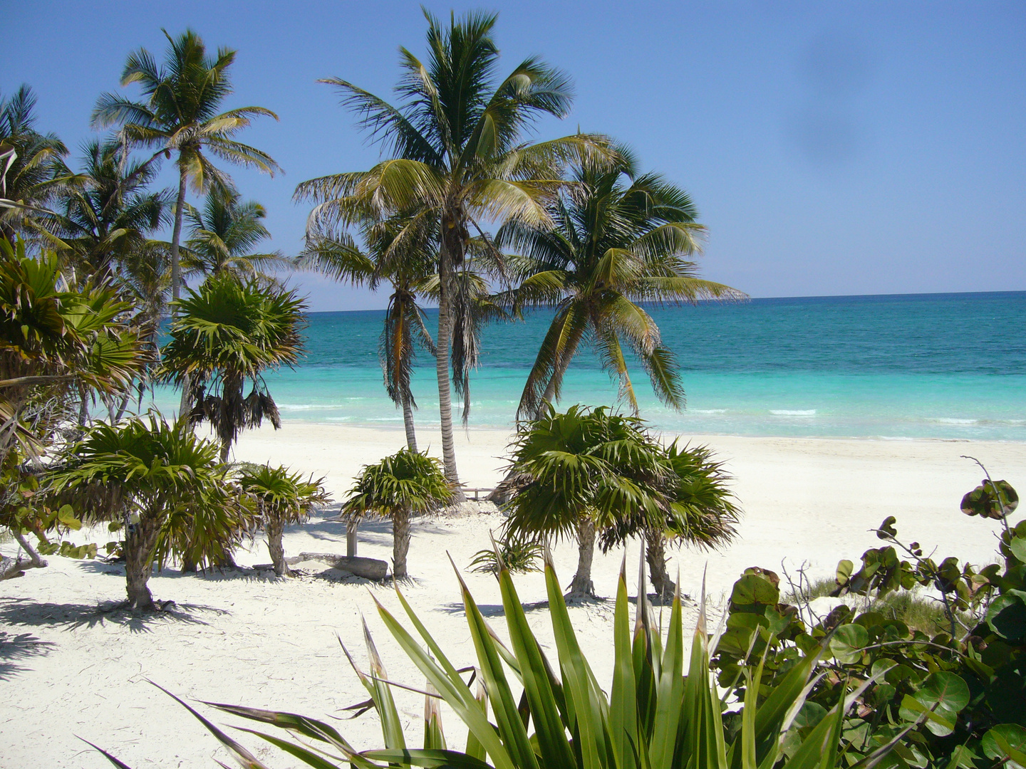 Traumstrände : es gibt sie doch (in : Mexiko Sian Kaan Riviera Maya )