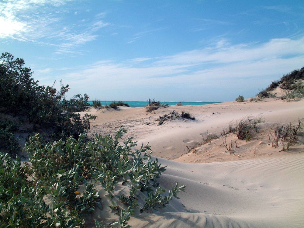 Traumstrand am Ningaloo Reef