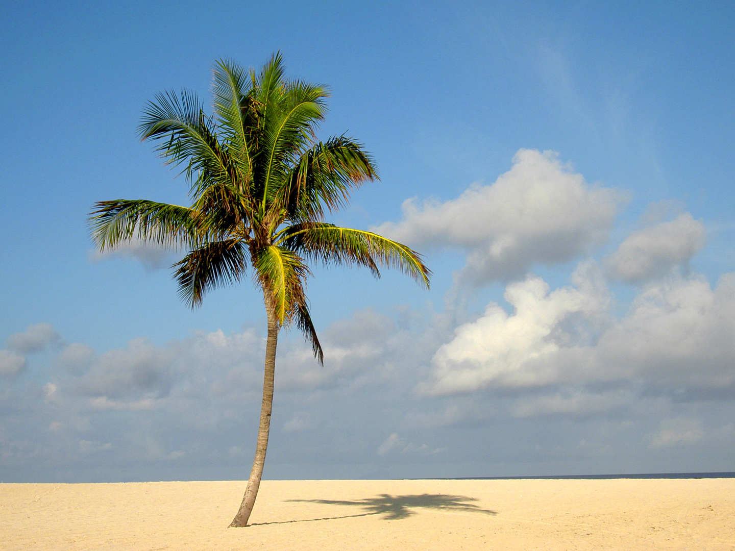 Traumstrand auf den Bahamas