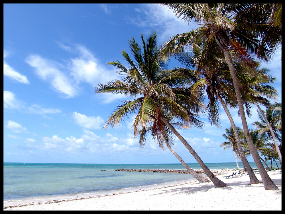 Traumstrand auf den Florida Keys