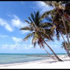 Traumstrand auf den Florida Keys