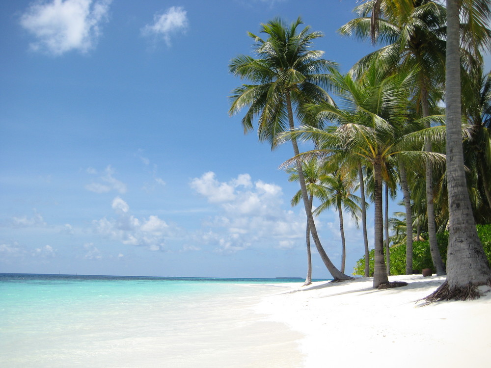 Traumstrand auf den Malediven