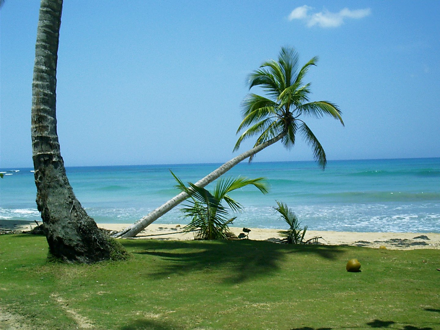 Traumstrand auf Samana in der Dominikanischen Republik