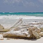 Traumstrand bei Tulum