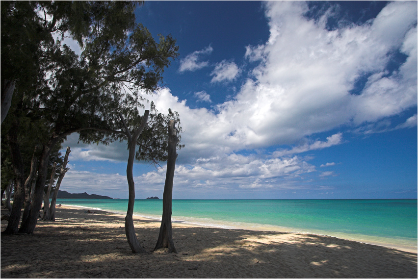 Traumstrand (Oahu)