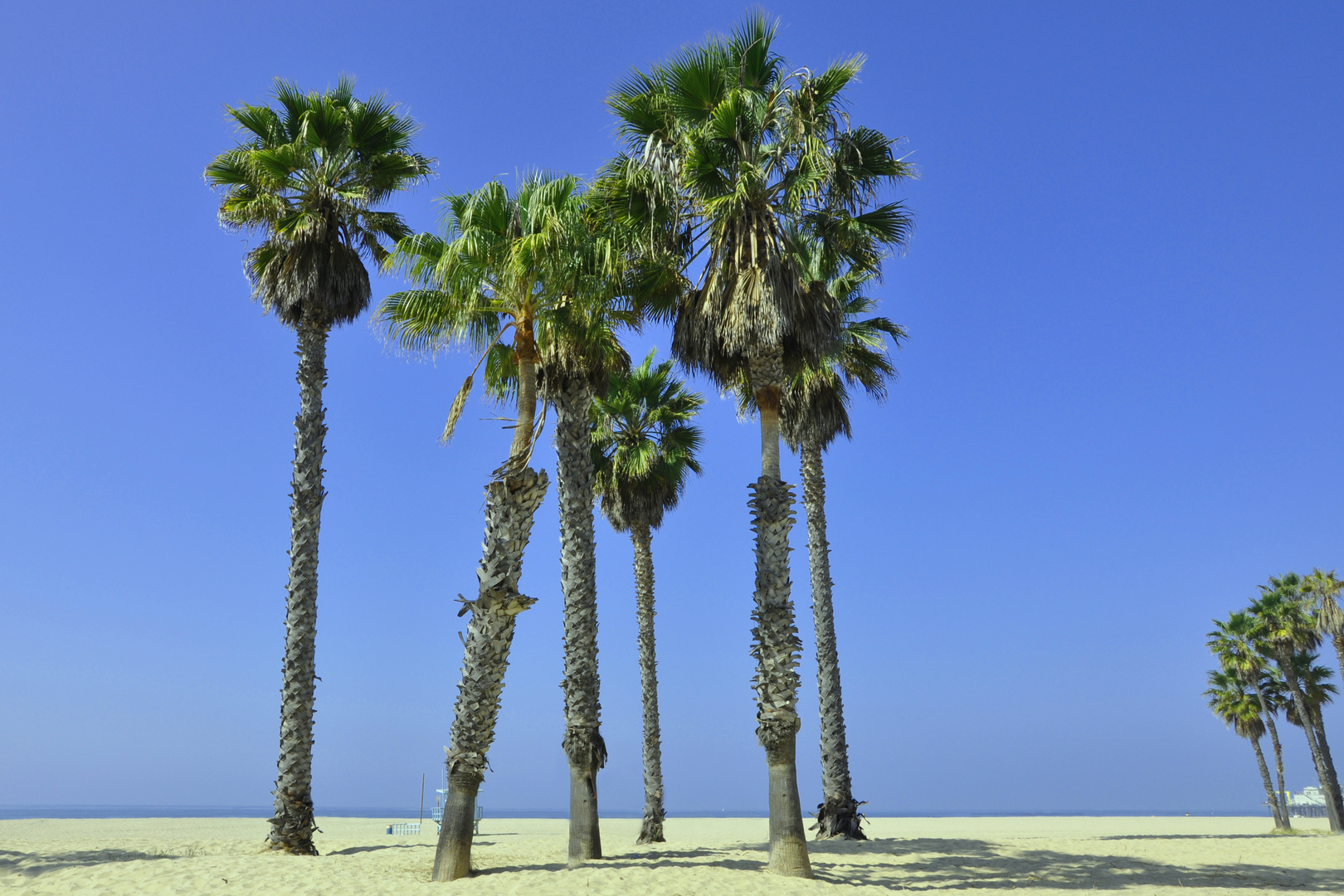 Traumstrand Venice Beach an der Pazifikküste