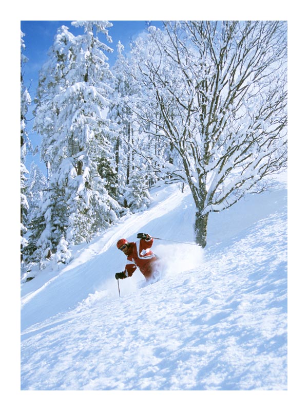 Traumtag im Schnee