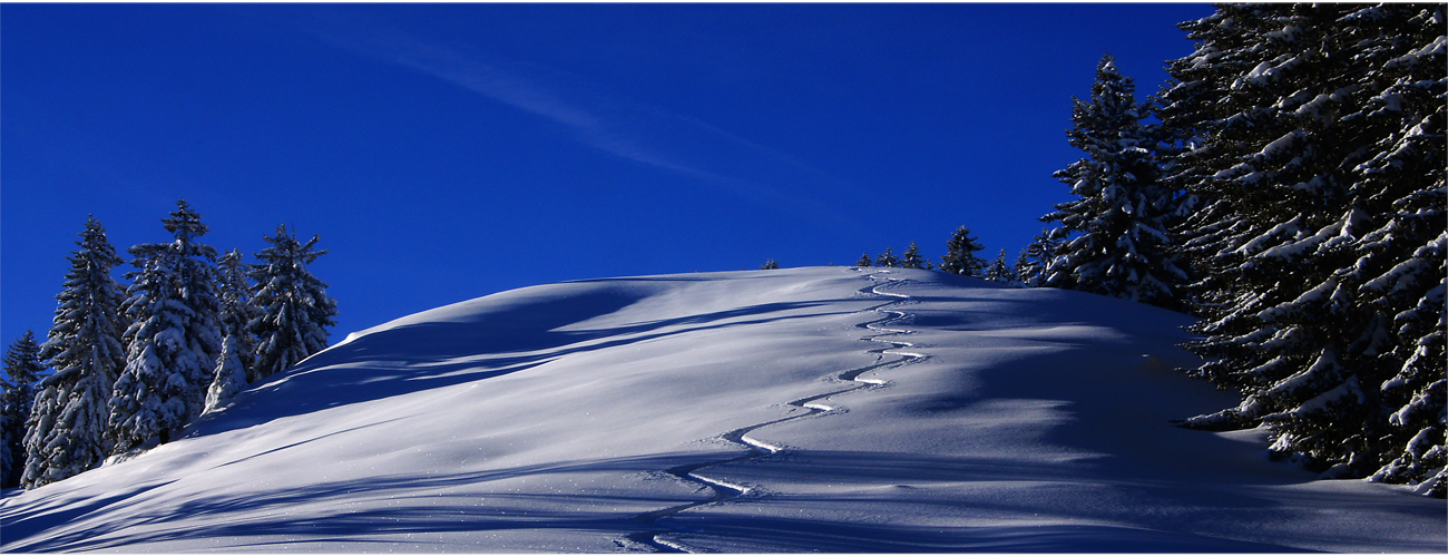 Traumtag mit Traumschnee